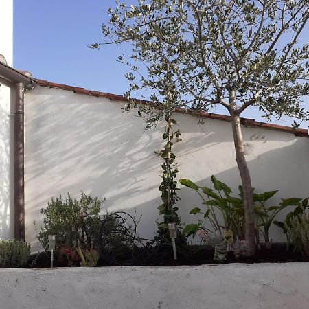 Il Nido Apartment Terni Bagian luar foto